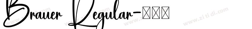Brauer Regular字体转换
